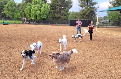 Aliso Viejo Dog Park – fully fenced dog park in Aliso Viejo, CA