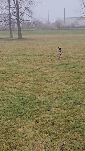 Cary Dog Park (2) – dog-friendly park in Cary, IL