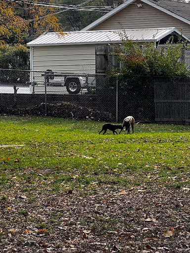 Large Dog Park dog park in Willow Springs, IL
