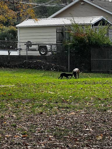 Large Dog Park – dog park in Willow Springs, IL