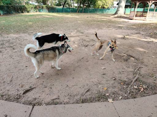 Photo 10 of Central Bark Dog Park dog park in Green Brook township NJ