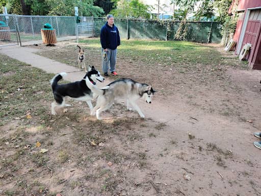 Central Bark Dog Park – dog-friendly park in Green Brook township, NJ
