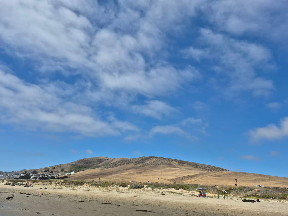 Off-leash dog park Morro Bay Dog Beach in Cayucos CA