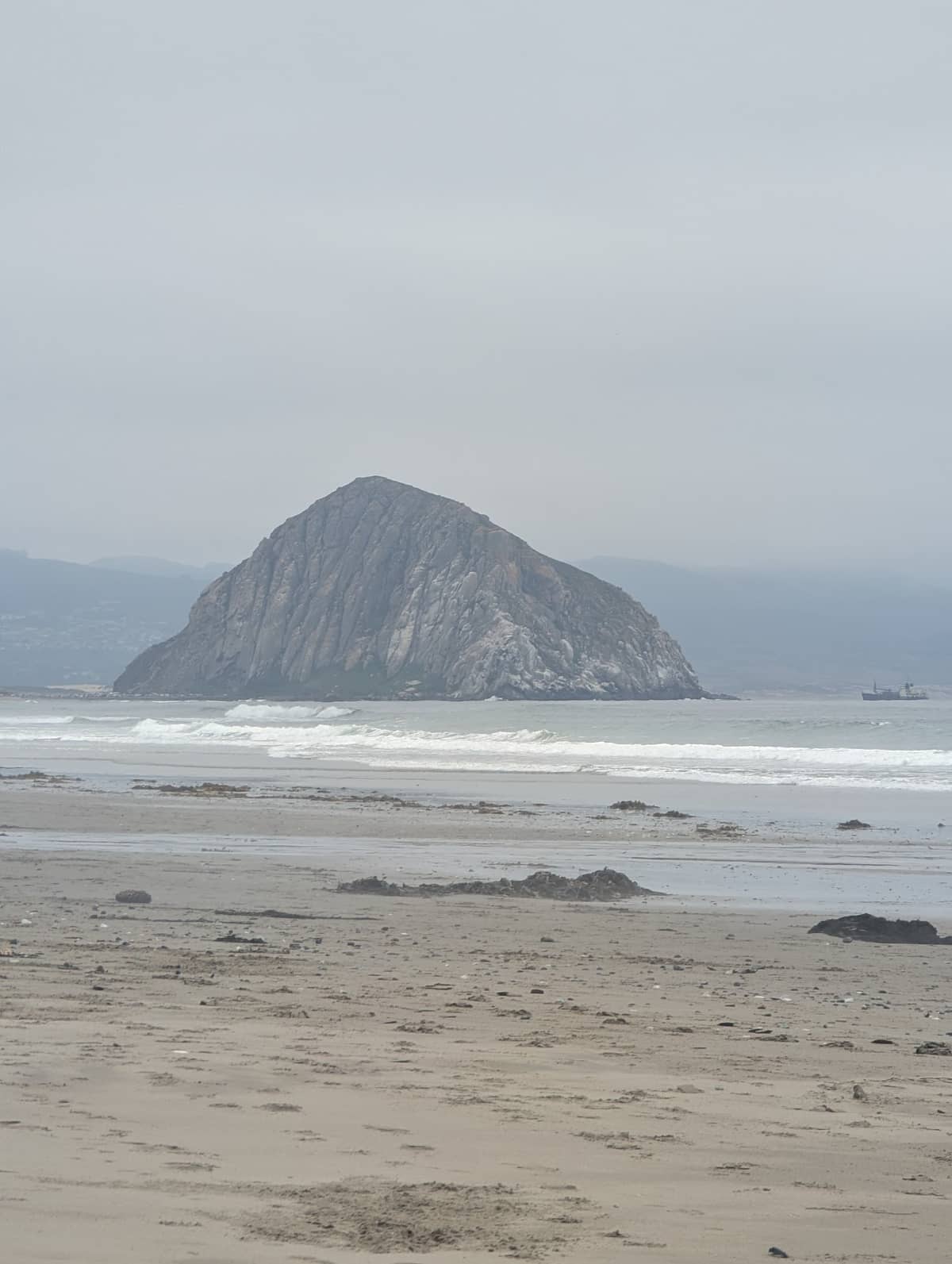 Visitor photo of Morro Bay Dog Beach dog park, Cayucos, CA