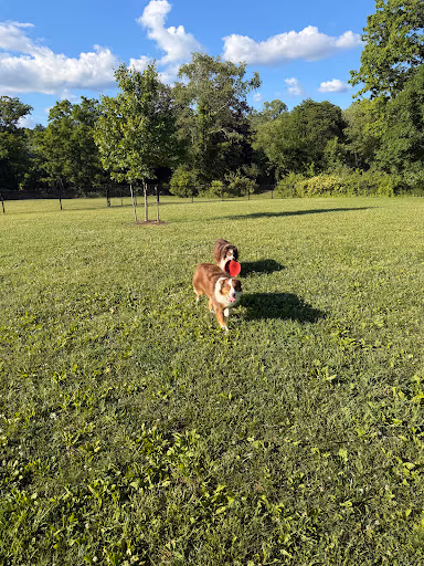 East County Park - Dog Park dog park in Warren, NJ