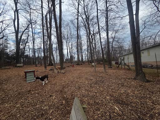 Dulles Gateway Dog Park – fully fenced dog park in Chantilly, VA