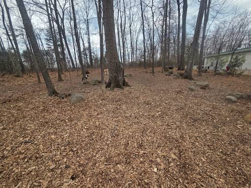 Dulles Gateway Dog Park – dog-friendly park in Chantilly, VA