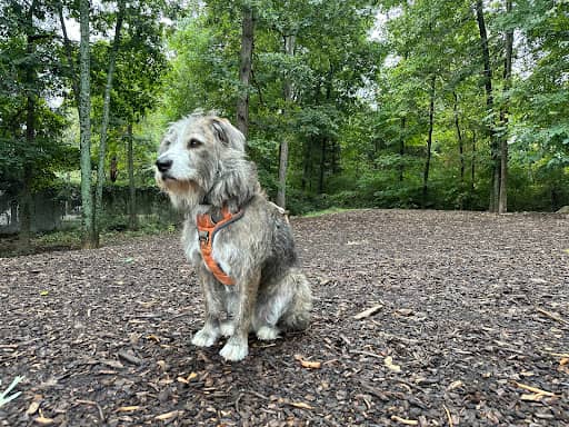 Dulles Gateway Dog Park – dog-friendly park in Chantilly, VA