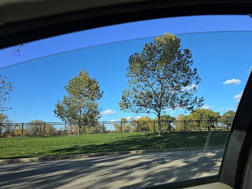 Visitor photo of 50 Acre Park Dog Park dog park, Evergreen Park, IL