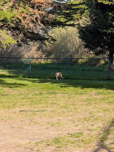 Jody Giannini Family Dog Park dog park in Morro Bay, CA
