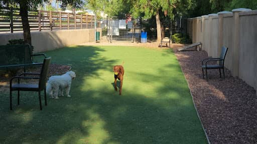 Photo 5 of Laguna Woods Dog Park dog park in Laguna Woods CA