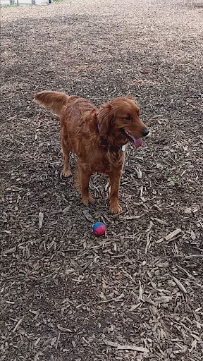 Bailey's Crossing Dog Park dog park in Oak Lawn, IL