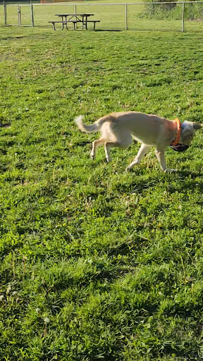 Happy Tails Dog Park - Summit dog park in Summit, IL