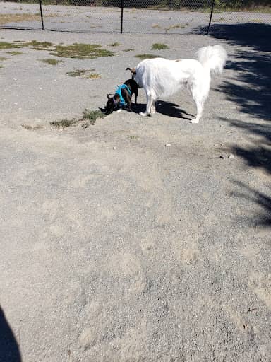 Photo 5 of Rock Hill District Park dog park in Chantilly VA