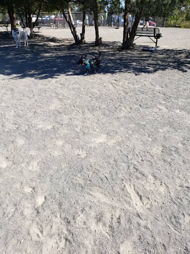 Rock Hill District Park – fully fenced dog park in Chantilly, VA
