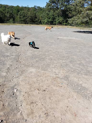 Visitor photo of Rock Hill District Park dog park, Chantilly, VA